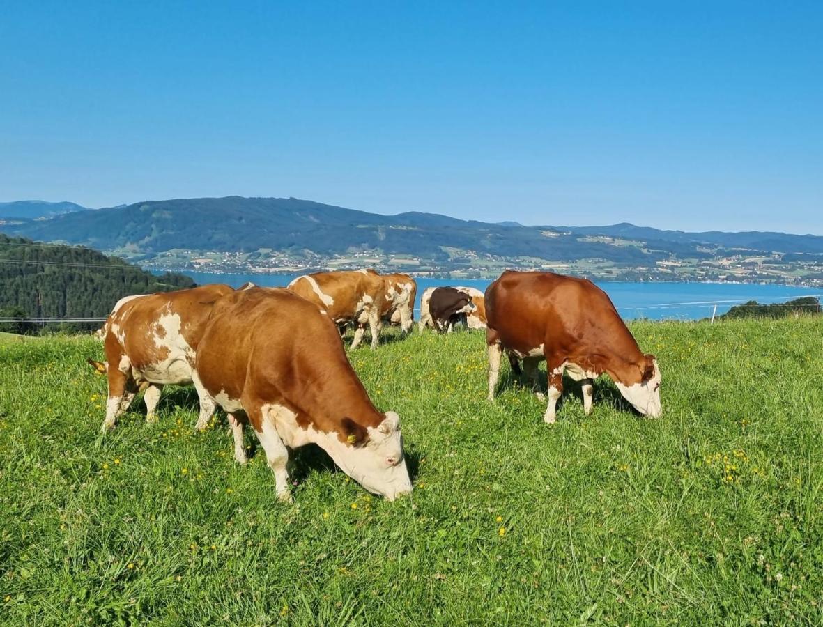 Ferienwohnungen Schobringer Weyregg Exterior foto